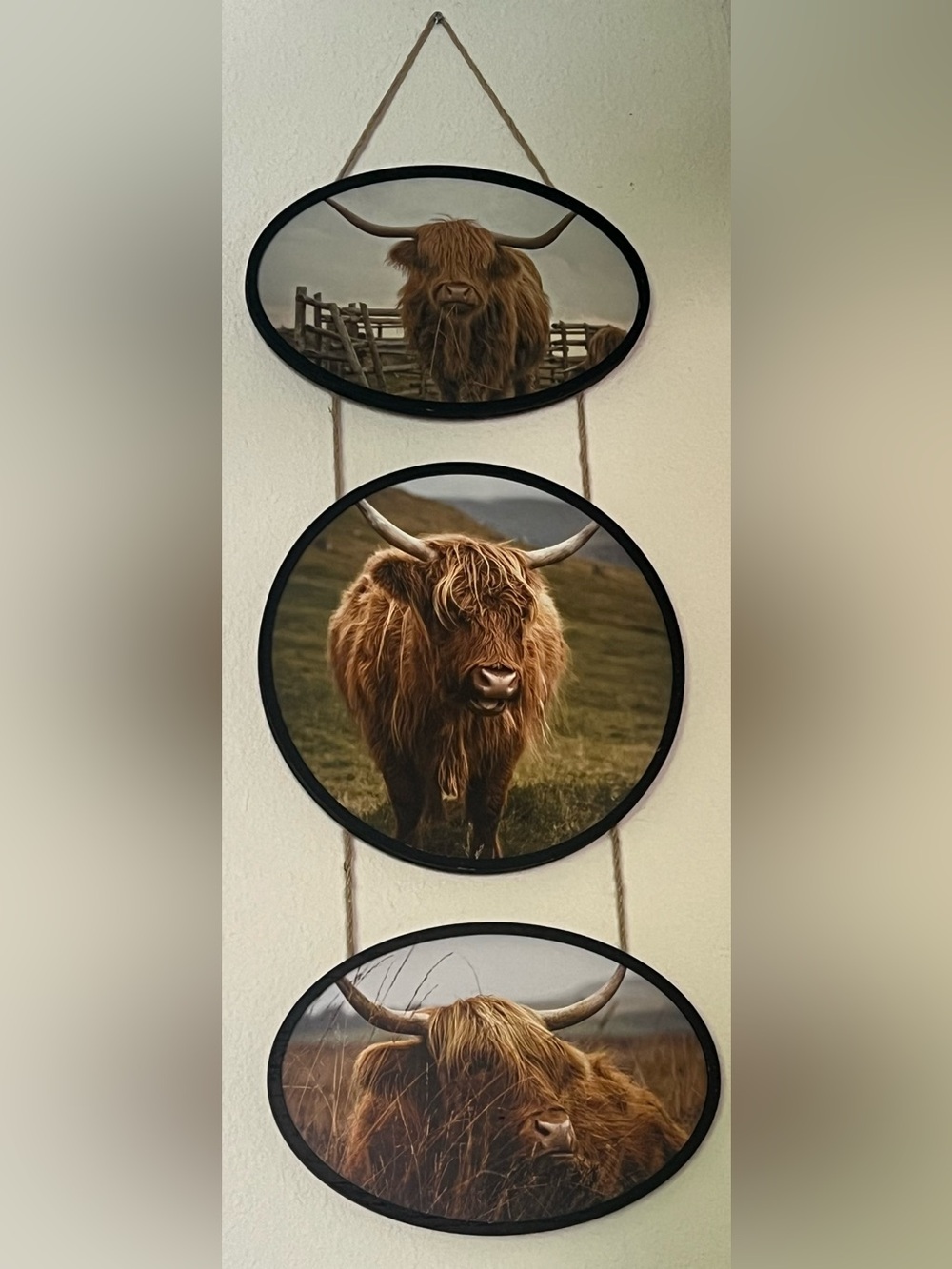 Framed Highland Cow Trio Wall Art - Brown